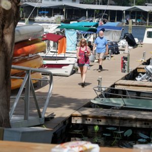 Walking the docks