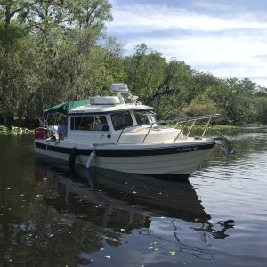 Ready to weed anchor on the Hontoon Dead River