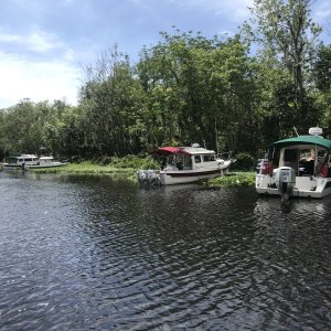 Weed anchored