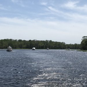 Boats touring on the Hontoon Loop