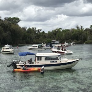 C-Brats anchored in Silver Glen Springs
