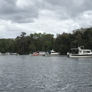 C-Brats anchored in Silver Glen Springs