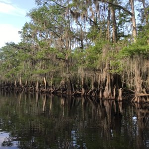 Scenery along Deep Creek