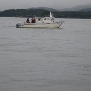TC1