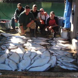 captains & fish