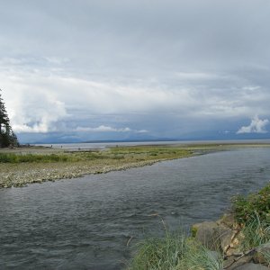 Oyster River estuary