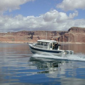 Media 'Starfish.JPG' in album 'CruiseStart3.JPG'