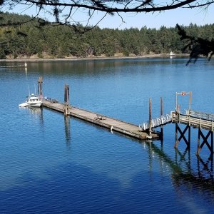 Spring trip to Stuart Island, in San Juans. A very quiet Prevost Harbor.