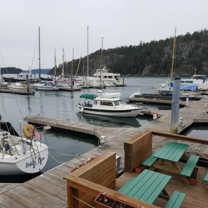 Media 'Spring trip to the San Juans. Had to hole up at Deer Harbor, on Orcas Island due to weather.' in album '20170130 160104'