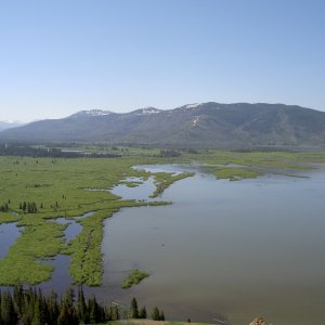 Media 'Entrance of Yellowstone River to Yellowstone Lake' in album 'releasing trout off Promatory point  wilderness campsite'