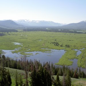 Media 'Thorofare Valley south of Yellowstone Lake' in album 'releasing trout off Promatory point  wilderness campsite'