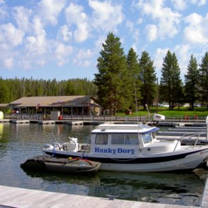 Media 'docked at Bridge Bay Marina Yellowstone Lake' in album 'releasing trout off Promatory point  wilderness campsite'