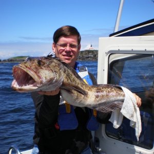 Cape Alava ling cod