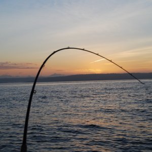 The rod deployed - it didn't release the entire AM