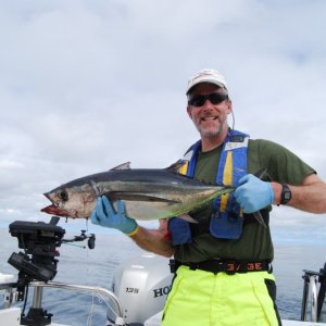 BradWithAlbacore