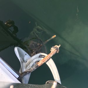 Montague Harbor; fouled anchor
