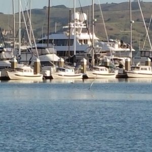 Sausalito F Dock