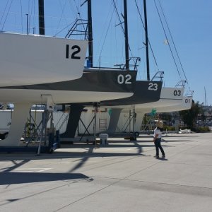 The Fleet is in