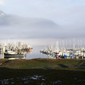Petersburg Harbor 4