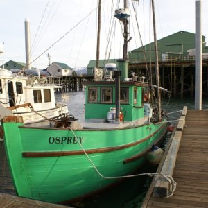 Petersburg 2011.  Wooden boat,"Osprey," built in 1918, still in use.