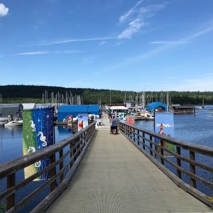 Ladysmith Community Marina