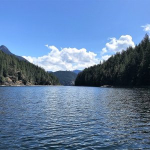 Roscoe Cove