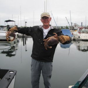 Media 'The largest from a day's catch.' in album 'Tied up at floating dock, Stuart Island'