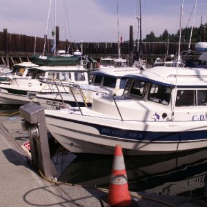 C-Dorys at Langley Boat Harbor 1