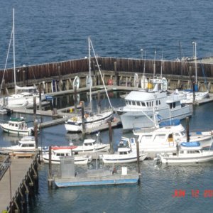 C-Dorys Langley Marina