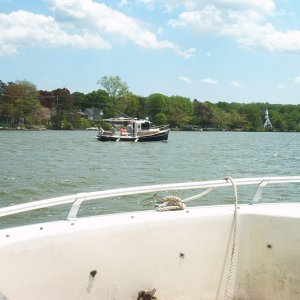 Media '' in album 'Steamboat  Willie'