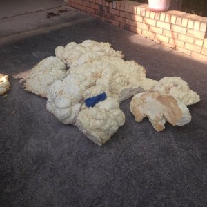 Media 'All of the extracted foam' in album 'Vberth templates laid out'