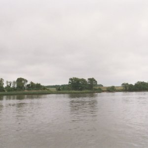 (Roberta Krumm)