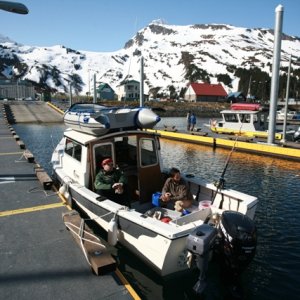 Whittier Harbor - Sunny, as always