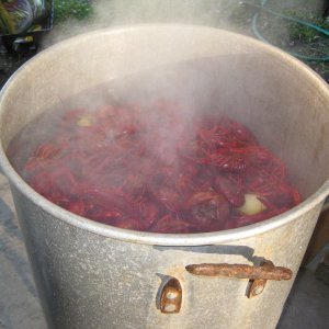 IMG 0373