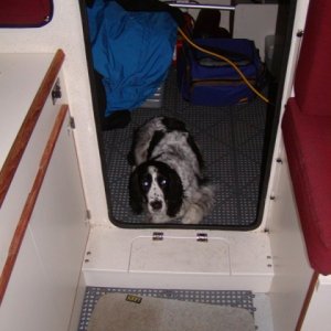 Media 'This photo shows the center bilge sump that came after the starboard side one, but before the "permanent" raised cockpit sole.  I'm sorry but I saved it way back when and neglected to note whose boat it was.' in album 'Johnson Ultima bilge pump'