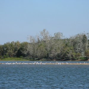 This is my favorite picture from the narrow windy section South of Blood Creek.