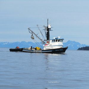 IMG 0042