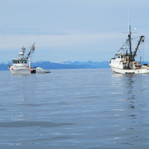 IMG 0043