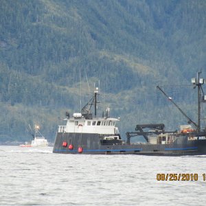 IMG 0062