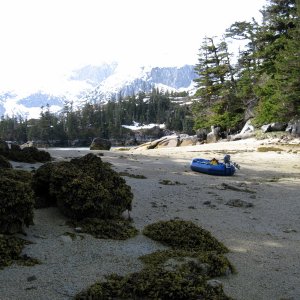 IMG 2762