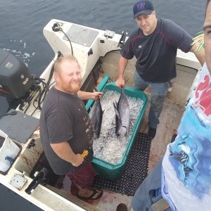 Tuna 2019
