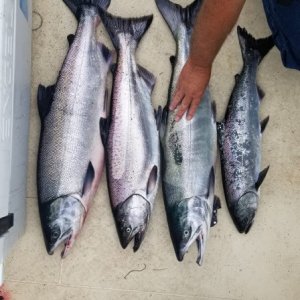 Caught our limit in an hour!