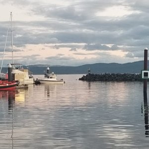 Media 'On the dock in Powell River.' in album '20210828 103552'