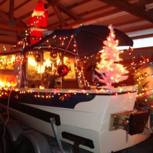 C-Lou\'s sleigh