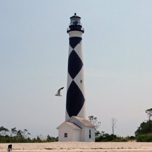 Media 'Cape Lookout Light' in album '1st Launch'