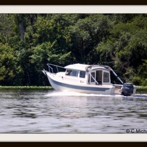 Media 'Cruising on St Johns River, FL' in album 'Cruising on St Johns River, FL'
