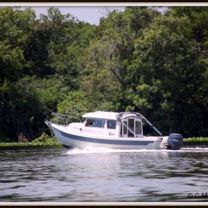 Media 'St Johns River' in album 'Cruising on St Johns River, FL'