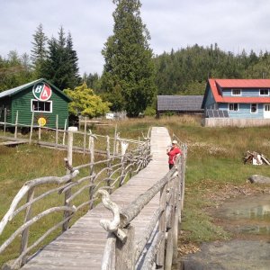 Media 'Proctors museum' in album 'Wee bit foggy'