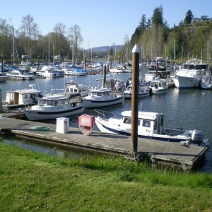 Last one in from fishing gets the sewer dock