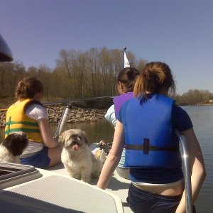 A once-in-a-lifetime ride for the girls and the dogs